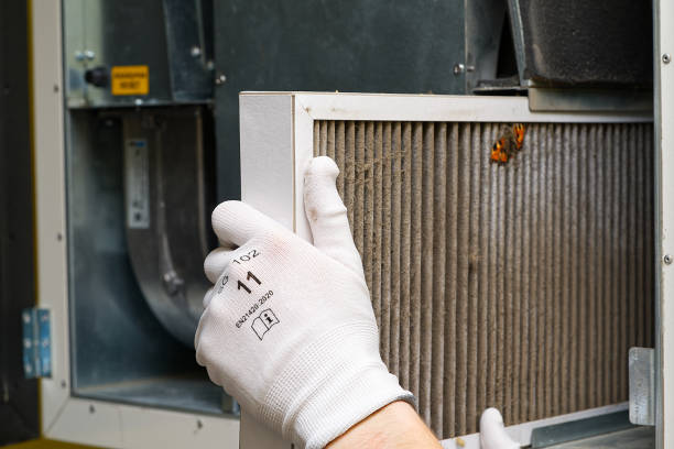 Best Professional Duct Cleaning Services  in Pike Creek Valley, DE