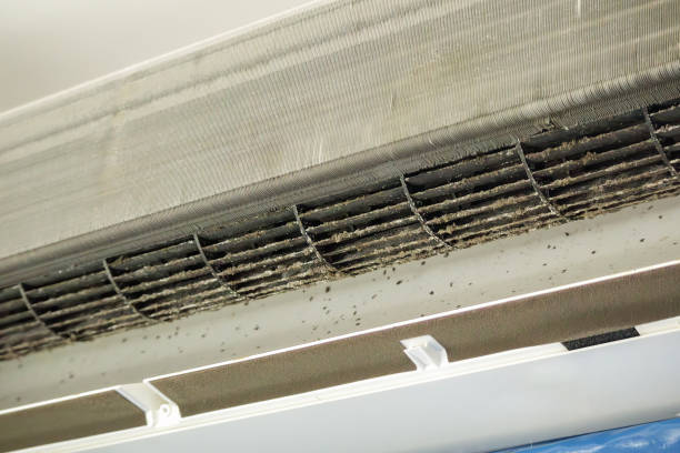 Ventilation Cleaning Services in Pike Creek Valley, DE